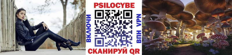 ОМГ ОМГ как войти  Мытищи  Галлюциногенные грибы MAGIC MUSHROOMS 